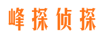 浪卡子市场调查